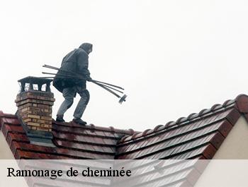 Ramonage de cheminée