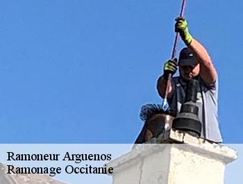 Ramoneur  arguenos-31160 Ramonage Occitanie