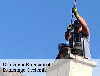 Ramoneur  brignemont-31480 Ramonage Occitanie