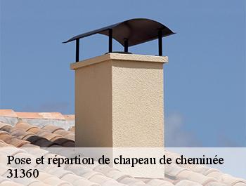 Pose et répartion de chapeau de cheminée  31360