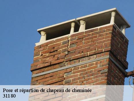 Pose et répartion de chapeau de cheminée  31180