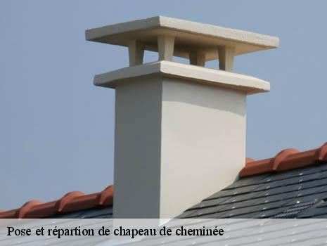 Pose et répartion de chapeau de cheminée