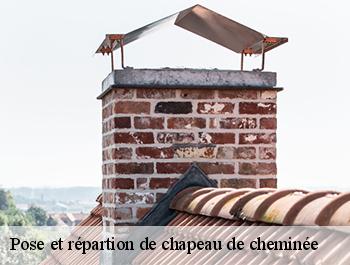 Pose et répartion de chapeau de cheminée