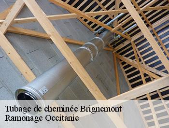 Tubage de cheminée  brignemont-31480 Ramonage Occitanie