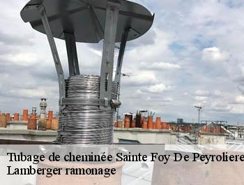 Tubage de cheminée  sainte-foy-de-peyrolieres-31470 Lamberger ramonage