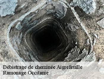 Débistrage de cheminée  aigrefeuille-31280 Ramonage Occitanie