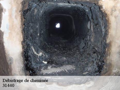 Débistrage de cheminée  31440