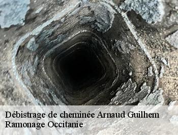 Débistrage de cheminée  arnaud-guilhem-31360 Ramonage Occitanie