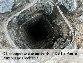 Débistrage de cheminée  bois-de-la-pierre-31390 Ramonage Occitanie