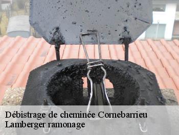 Débistrage de cheminée  cornebarrieu-31700 Lamberger ramonage