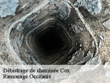 Débistrage de cheminée  cox-31480 Ramonage Occitanie