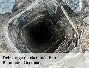 Débistrage de cheminée  eup-31440 Ramonage Occitanie