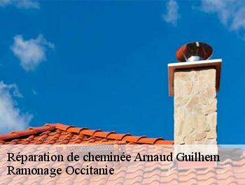 Réparation de cheminée  arnaud-guilhem-31360 Ramonage Occitanie