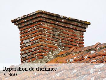 Réparation de cheminée  31360