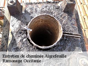 Entretien de cheminée  aigrefeuille-31280 Ramonage Occitanie