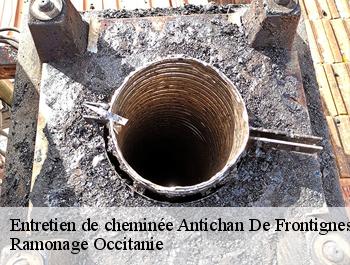 Entretien de cheminée  antichan-de-frontignes-31510 Ramonage Occitanie