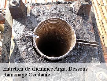 Entretien de cheminée  argut-dessous-31440 Ramonage Occitanie