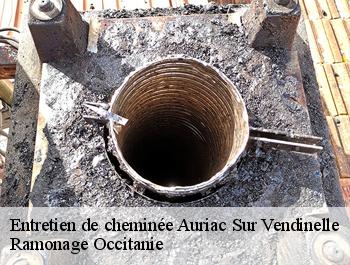 Entretien de cheminée  auriac-sur-vendinelle-31460 Ramonage Occitanie